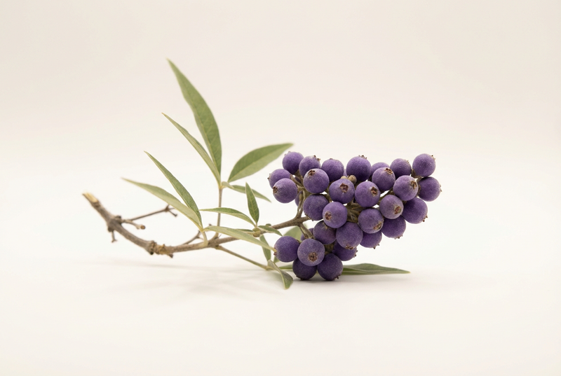 Chasteberry (Vitex): Hormone Balance
